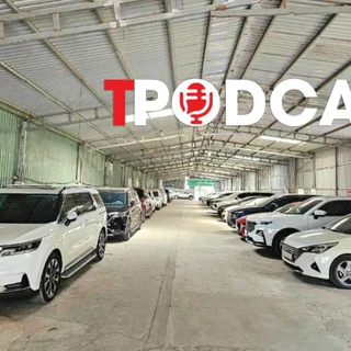 Thị trường thuê xe tự lái Tết 2026: Khách giảm dù giá thuê không giảm