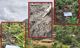 Bản Hin Phon nằm trên đồi cao, ngay cạnh rừng tự nhiên. Trong khu rừng vẫn còn nhiều dấu tích của trâu bò bị tấn công.