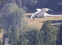 Thực hư đoạn video 'rồng trắng được nuôi bí mật' ở Trung Quốc