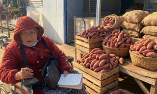 Cụ bà U70 ở Trung Quốc gây xôn xao vì kiếm hơn 7 tỷ mỗi năm nhờ bán khoai lang