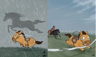 Chú ngựa nhỏ gây sốt mạng xã hội xứ Trung nhờ khoảnh khắc vừa chạy vừa khóc