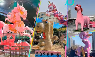 Linh vật Tết Bính Ngọ 2026 "chào sân": Ngựa "thần tiên" đối đầu hội "tấu hài"
