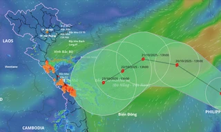 Áp thấp nhiệt đới 96W có khả năng thành bão số 12