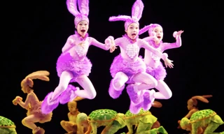 Điệu nhảy "Thỏ và Rùa" gây sốt Douyin, netizen ngậm ngùi làm đèn giao thông