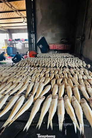 Làng cá nướng nổi tiếng tất bật vào vụ Tết