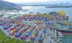 Lợi nhuận doanh nghiệp cảng biển: Kẻ thắng lớn, người ngậm ngùi