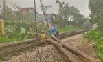 Dừng nhiều chuyến tàu, hoàn vé cho khách ảnh hưởng bão Bualoi