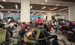 Hãng bay hủy chuyến đi Trung Đông, hơn 4.400 khách kẹt tại Nội Bài 