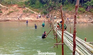 Hàng chục hộ dân ở Nghệ An dùng tre, gỗ làm cầu tạm qua suối sau lũ