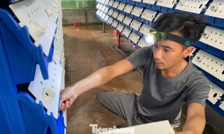 Về quê khởi nghiệp và kỳ vọng giảm nghèo cho người dân