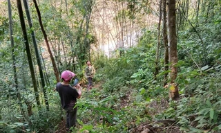  Một ngọn núi ở Nghệ An xuất hiện vết nứt lớn, nguy cơ đổ sạt xuống quốc lộ