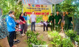 Hướng sinh kế giúp bà con miền núi Nghệ An thoát nghèo