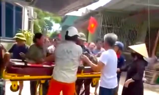 Người đàn ông bị đàn ong đốt tử vong khi ra bờ sông cắt cỏ