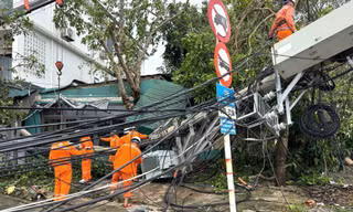 Lưới điện ở Nghệ An thiệt hại nặng nề sau bão số 10