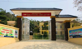 2 nữ sinh lớp 8 bị 'bắt' làm vợ đã đồng ý đến trường đi học