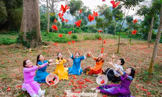 Loài hoa như đốm lửa nhỏ đẹp nao lòng ven sông Lam