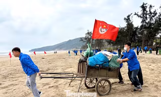 Tuổi trẻ Nghệ An phủ xanh bãi biển, làm sạch môi trường