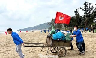 Tuổi trẻ Nghệ An phủ xanh bãi biển, làm sạch môi trường