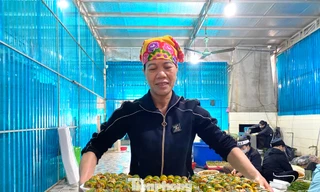 Đến làng chế biến lươn lớn nhất xứ Nghệ ngày áp Tết