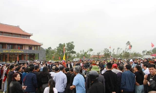 Nghệ An, Hà Tĩnh 'bội thu' dịp Tết 