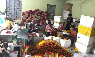 Làng nghề hương trầm rộn ràng vào vụ Tết
