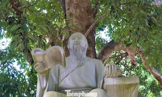 Cây vải gần 300 năm tuổi gắn với cuộc đời Hải Thượng Lãn Ông