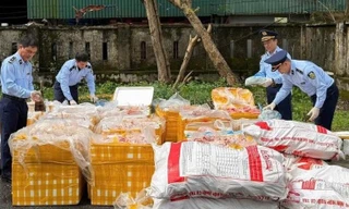 Phát hiện hơn 2,6 tấn nội tạng, xương động vật không rõ nguồn gốc