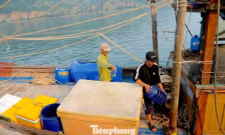 Chuyến biển thu 3 tạ cá, vì sao tiền công chỉ 200.000 đồng/người? 