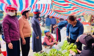 Chuối xanh tăng cao cận Tết, nải hàng trăm ngàn vẫn 'cháy hàng'