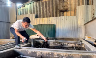 Nuôi lươn không bùn, thanh niên Hà Tĩnh thu về hơn 6 tỷ đồng mỗi năm