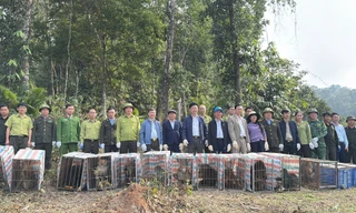 Thả 23 con khỉ quý hiếm về môi trường tự nhiên