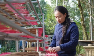 ‘Thủ phủ’ cây dó bầu nhộn nhịp vào vụ trầm Tết