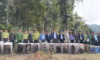Thả 23 con khỉ quý hiếm về môi trường tự nhiên