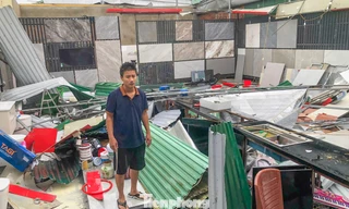 Nghệ An, Hà Tĩnh không bắn pháo hoa dịp 2/9 để khắc phục thiệt hại sau bão