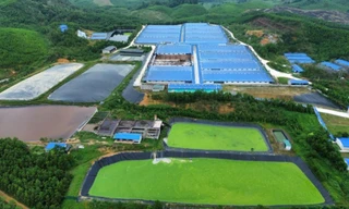 Trại lợn 30.000 con ở Thanh Hoá gây ô nhiễm nặng