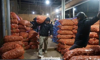 Bốc hàng xuyên ngày đêm tại chợ đầu mối lớn nhất xứ Thanh 