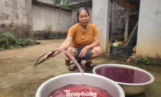 Nước sinh hoạt từ giếng khoan đổi màu tím bất thường
