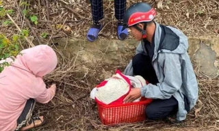 Bé gái sơ sinh bị bỏ rơi dưới rãnh mương trong thời tiết giá rét