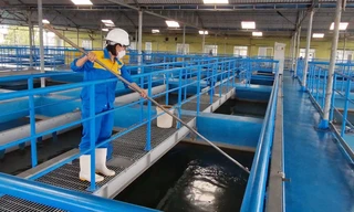 Nghệ An: Sau bão số 5, hàng nghìn người dân vẫn chưa có nước sử dụng