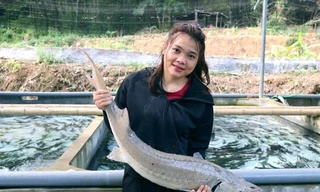 Cô gái Mường nuôi cá tầm ở Thanh Hóa trúng cử đại biểu HĐND tỉnh