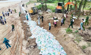 Gấp rút gia cố đê biển xung yếu, bảo vệ 600 hộ dân trước bão số 5 