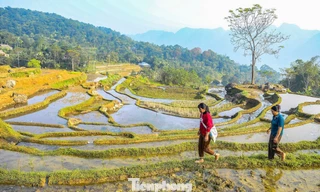 Vẻ đẹp ruộng bậc thang Pù Luông mùa nước đổ