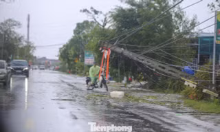 Nghệ An, Hà Tĩnh mất điện diện rộng, điện lực nỗ lực khắc phục đường dây