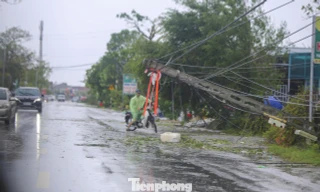 Nghệ An, Hà Tĩnh mất điện diện rộng, điện lực nỗ lực khắc phục đường dây