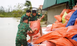 Kho chứa 500 tấn lúa bị ngập nước, thiệt hại hàng tỷ đồng sau bão số 5