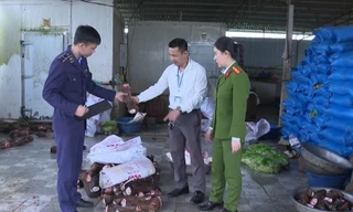 Ngăn chặn 6 tấn chân, đuôi bò bốc mùi sắp lên bàn nhậu