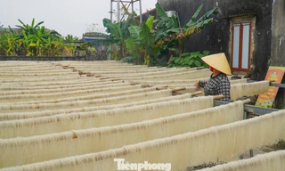 Làng miến gạo trăm năm tuổi nổi tiếng xứ Thanh tất bật vào Tết