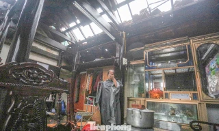 Trắng tay sau bão