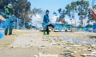 'Vượt khó' bám biển khi giá nhiên liệu tăng cao