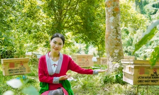 Hành trình đánh thức sinh kế từ rừng của cô gái xứ Thanh ứng cử đại biểu Quốc hội 